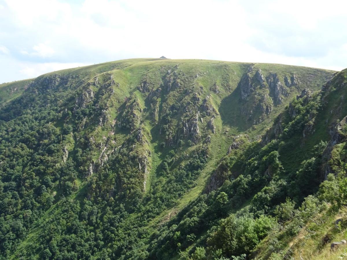 Breitenbach-Haut-RhinLes Gentianes公寓 外观 照片